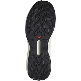 Salomon Genesis GTX Herren Black / Lunar Rock / French Blue 46