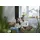 ABUS 3030 Sicherheitsschloss Fenster Braun