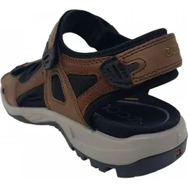 ECCO Offroad Herren espresso/cocoa 43