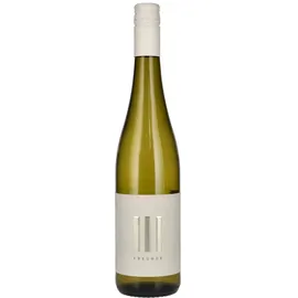 iii freunde weine Riesling 2024 0,75 l