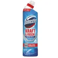 Domestos Kraft & Frische Ocean Fresh WC-Reiniger 750 ml