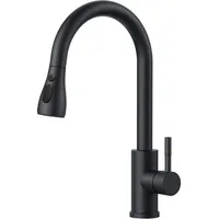 Luxuskollektion FORIOUS Küchenarmatur Hochdruck Schwarz