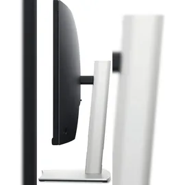 Dell P3424WEB 34" schwarz