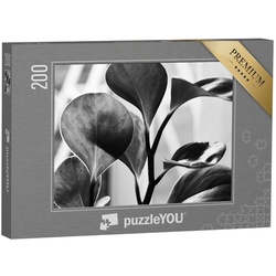 puzzleYOU Puzzle Pflanzenfotografie: Detailaufnahme in Schwarz-Weiß, 200 Puzzleteile, puzzleYOU-Kollektionen Fotokunst