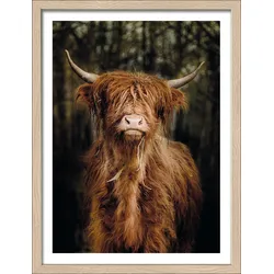 Gerahmtes Bild SCOTTISH
