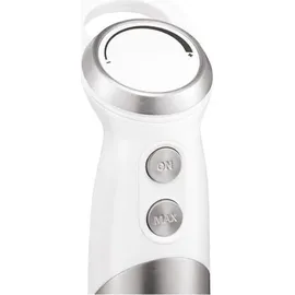 LAGRANGE Stabmixer 1000 W