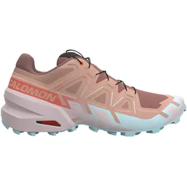 Salomon Speedcross 6 Damen Mahogany Rose/Hushed Violet/Iced Aqua 42