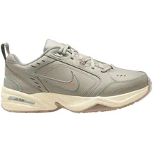 Nike Air Monarch IV Light Bone/Sanddrift/Spruce Aura 44,5