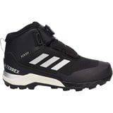adidas Terrex Winter Mid Boa RAIN.RDY Hiking Shoes schwarz