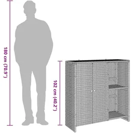 vidaXL Aufbewahrungsschrank Beige 100x36x102 cm Rattan - vidaXL