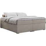 MKS Boxbett 160 x 200 cm H4 Beige