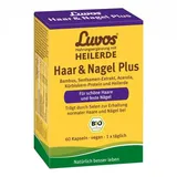 Luvos Haar & Nagel Plus Kapseln 60 St.