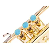 Heavy Trompete benutzerdefinierte Fingerknöpfe für alle Bach-Stradivarius, Artisan, New York, Chicago, TR200, alle Stradivarius Flügelhörner, alle Stradivarius Kornett-Modelle (24 Karat vergoldet,