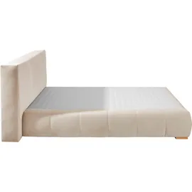 Home Affaire Boxspringbett »Chelles« inkl. Kaltschaumtopper, in 5 Breiten und 3 Matratzenarten beige