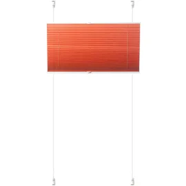 K-HOME Plissee Siena 70 x 210 cm orange