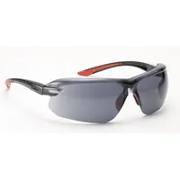 Bollé Brille IRI-S