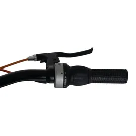 WYLD Bliss 24 Zoll RH 38 cm schwarz/rot