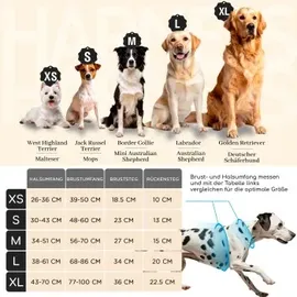 Freudentier Hundegeschirr Grün XS