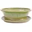 Bonsai - Schale oval 26.5 x 21 x 9.5 cm mit Untersetzer grün 31130