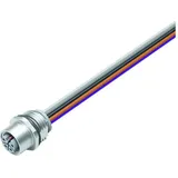 BINDER 09 0642 700 05 Sensor-/Aktor-Steckverbinder, konfektioniert M12 Buchse, Einbau vertikal 1 St.