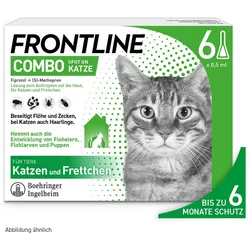 Frontline Combo Spot on Katze 6 St