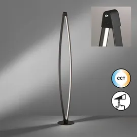 Fischer Leuchten Fenga 145 cm 18W dimmbar schwarz