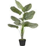Mica decorations Mica Kunstpflanze Calathea orbifolia im Topf grün 90 x 60 cm
