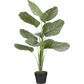Mica decorations Mica Kunstpflanze Calathea orbifolia im Topf grün 90 x 60 cm