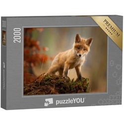 puzzleYOU Puzzle Ein junger Fuchs, 2000 Puzzleteile, puzzleYOU-Kollektionen Tiere, Füchse, 48 Teile, Schwierig, 100 Teile