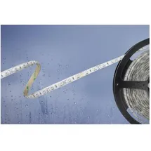 BARTHELME LED-Streifen 51540831 24 V RGB 500 cm 1 St.