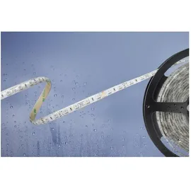 BARTHELME LED-Streifen 51540831 24 V RGB 500 cm 1 St.