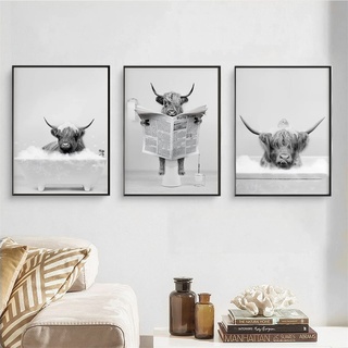 Hava Kolari Lustiges 3er Poster Set, Hochland Kuh Wandkunst Badezimmerbilder Schwarz Weiß Leinwand Bild Deko für Badezimmer Toilette, OHNE Rahmen (30 x 40 cm)
