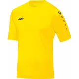 Jako Team KA, (4233)
