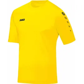 Jako Team KA, (4233)