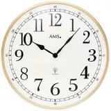 AMS 1183