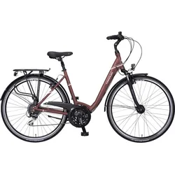 Kreidler Raise RT4 Rot Modell Aktion