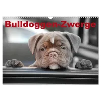Calvendo Bulldoggen-Zwerge (Wandkalender 2026 DIN A3 quer), CALVENDO Monatskalender: