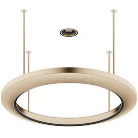 Dornbracht AQUAHALO Regenpaneel, 41750979-46, Farbe: Champagne gebürstet