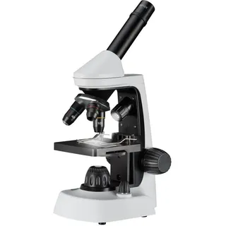 Bresser Junior 12021 - Mikroskop mit einer Vergrößerung von 40x-2000x