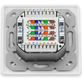 deleyCON 1x CAT 6a Universal Netzwerkdose - 2x RJ45 Port - Geschirmt - Aufputz oder Unterputz - 10 Gigabit Ethernet Netzwerk - EIA/TIA 568A&B - Weiß