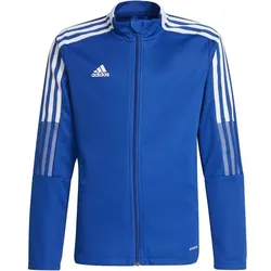 ADIDAS adidas Kinder Tiro 21 Trainingsjacke, ROYBLU, 176