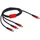 DeLock USB 2.0 USB-C m Schwarz, Rot