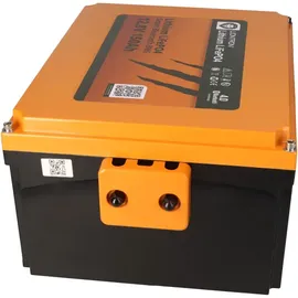 LIONTRON SET LIONTRON LiFePO4 Akku 12,8V 150Ah Untersitz + Victron Orion-Tr Smart 12/12-30A Ladebooster
