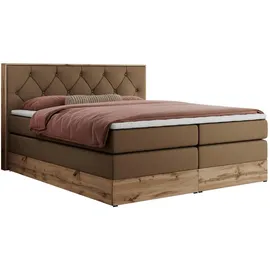 MKS Veneto King 160 x 200 cm H4 Braun