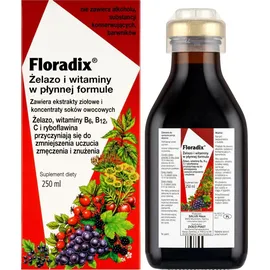 SALUS Floradix Elixir Flüssigkeit 250 ml