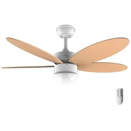 Cecotec EnergySilence Aero 4260 106 cm Deckenventilator Orange