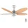 Cecotec EnergySilence Aero 4260 106 cm Deckenventilator Orange