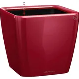 LECHUZA Quadro LS 35 Komplettset 35 x 35 x 33 cm scarlet rot hochglanz