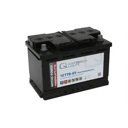 Q-Batteries 12TTB-65 12V 65Ah (C20) geschlossene Blockbatterie, positive Röhrche...