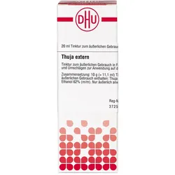 Thuja extern